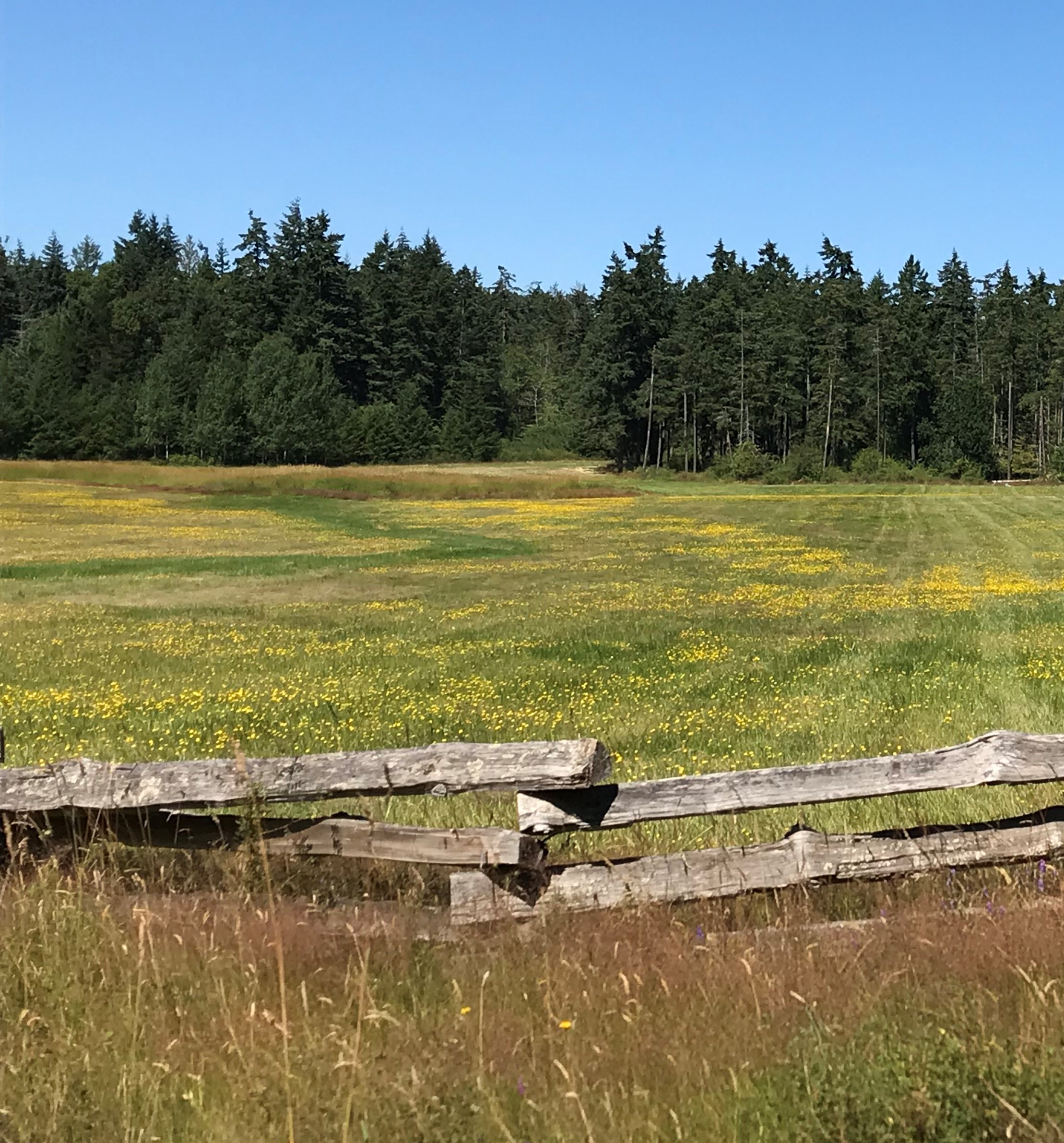 Nanoose Bay photo