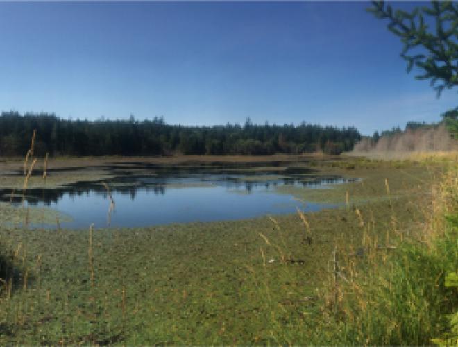 Coats Marsh Regional Park