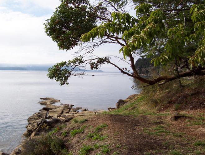 Descanso Bay Regional Park