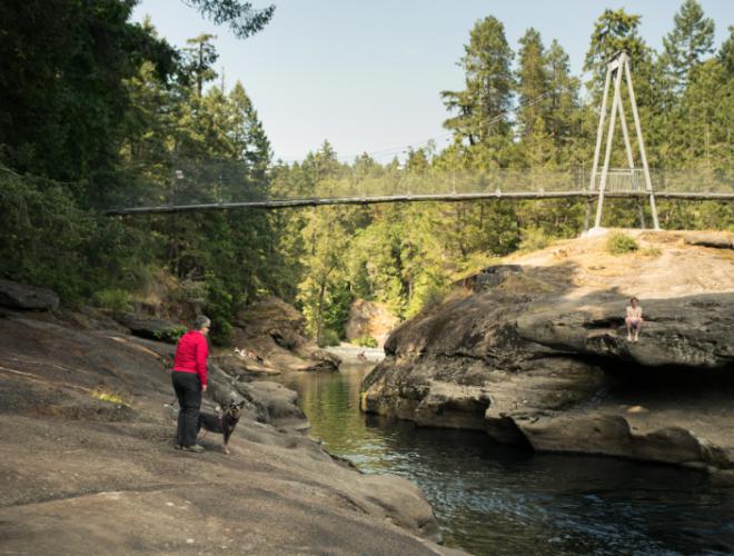 Top Bridge Regional Trail