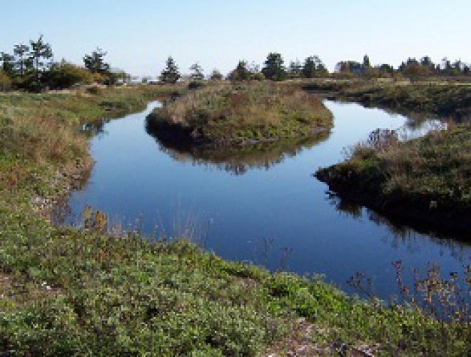 Little Qualicum River Estuary Regional 