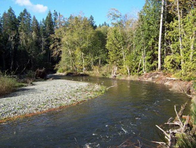 Little Qualicum River Regional Park