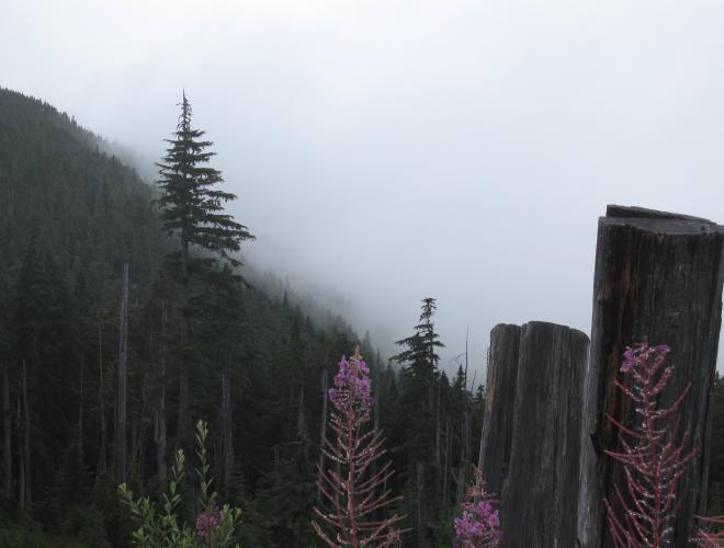 Arrowsmith CRP Regional Trail