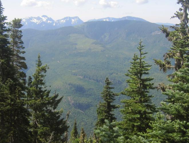 Arrowsmith CRP Regional Trail